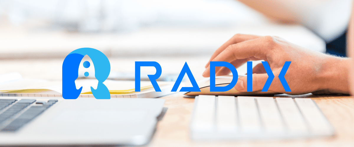 Marketing Strategy For Startups Radix
